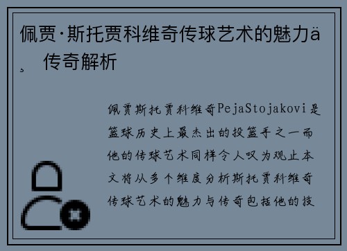 佩贾·斯托贾科维奇传球艺术的魅力与传奇解析