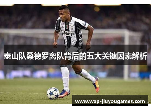泰山队桑德罗离队背后的五大关键因素解析