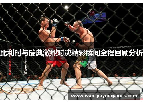 比利时与瑞典激烈对决精彩瞬间全程回顾分析